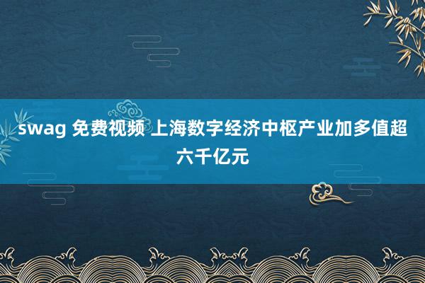 swag 免费视频 上海数字经济中枢产业加多值超六千亿元