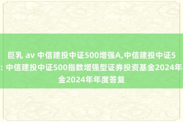 巨乳 av 中信建投中证500增强A,中信建投中证500增强C: 中信建投中证500指数增强型证券投资基金2024年年度答复