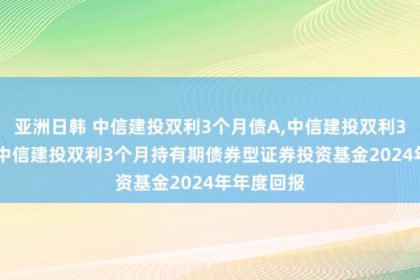 亚洲日韩 中信建投双利3个月债A,中信建投双利3个月债C: 中信建投双利3个月持有期债券型证券投资基金2024年年度回报