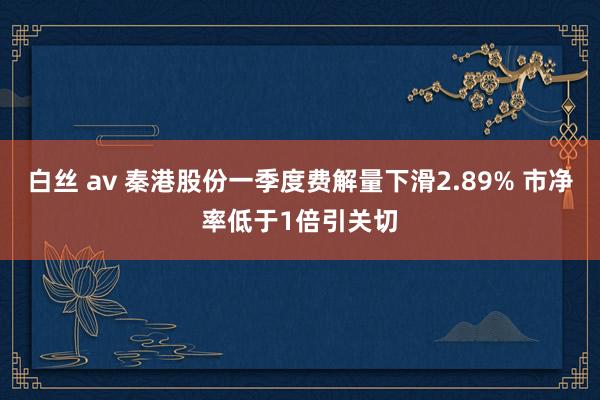 白丝 av 秦港股份一季度费解量下滑2.89% 市净率低于1倍引关切