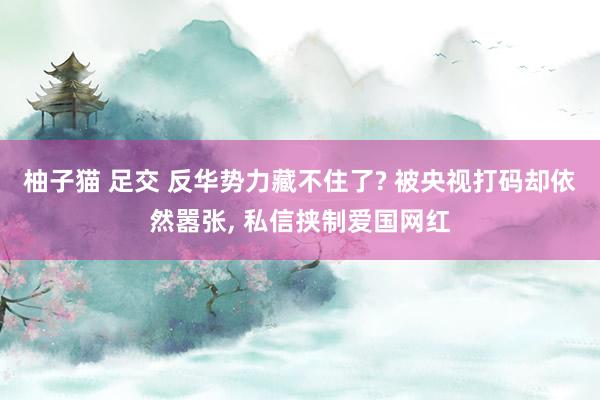 柚子猫 足交 反华势力藏不住了? 被央视打码却依然嚣张， 私信挟制爱国网红