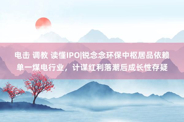电击 调教 读懂IPO|锐念念环保中枢居品依赖单一煤电行业，计谋红利落潮后成长性存疑